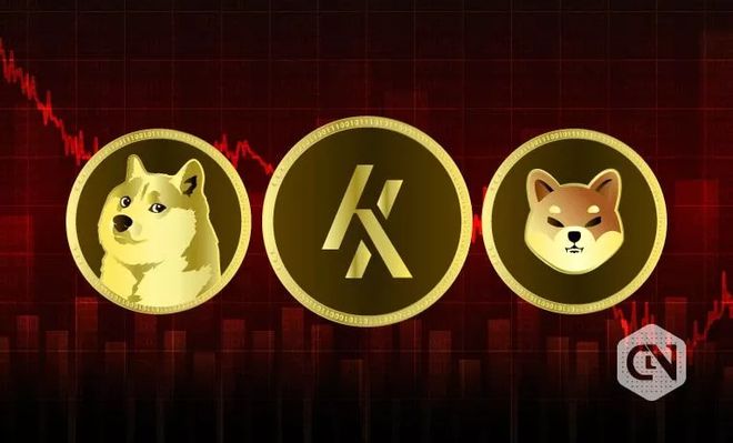 doge是什么币种(doge属于什么币种)