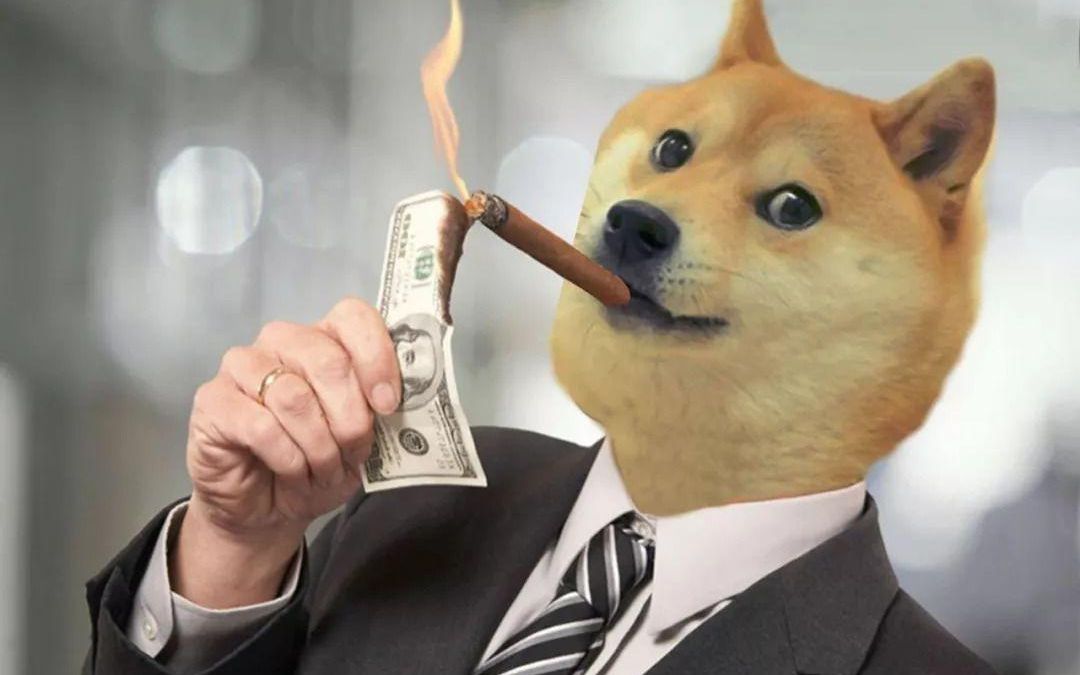 狗狗币行情(狗狗币行情走势图)
