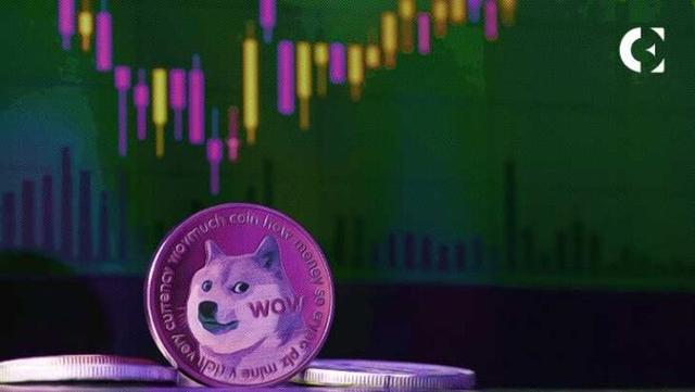 狗币的今日价格(狗币的今日价格是多少)