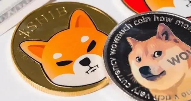 doge是什么币种(doge是什么币种怎么买)