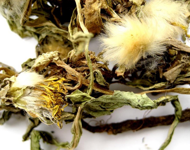 蒲公英贵金属(蒲公英重金属含量高吗)