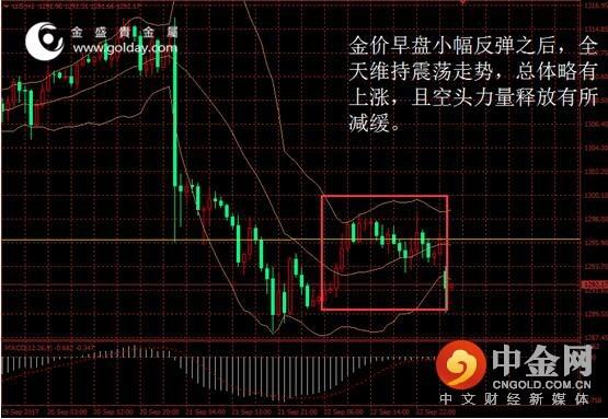 金圣贵金属(金圣贵金属为什么在软件里面找不到)