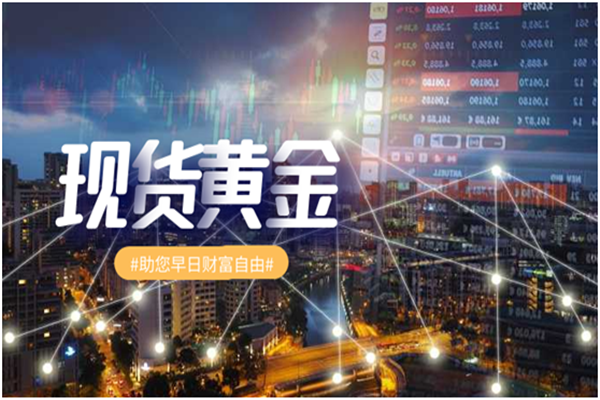 国鑫贵金属官网(国鑫贵金属官网网址)
