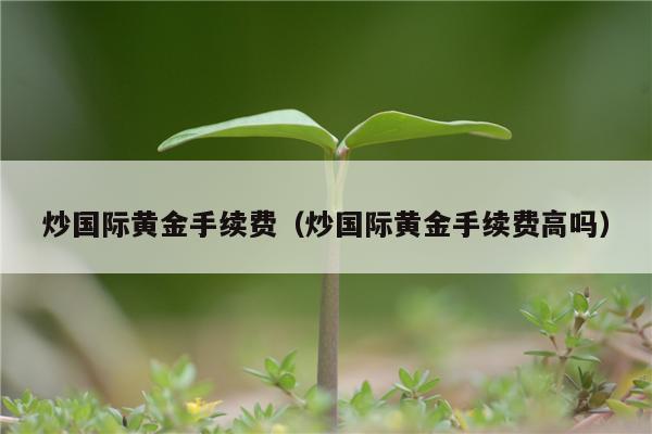 贵金属手续费(贵金属行情一一融通金)