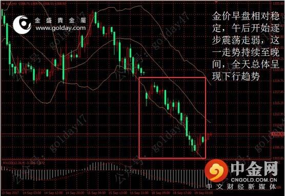 金盛贵金属(金盛贵金属黄金软件)