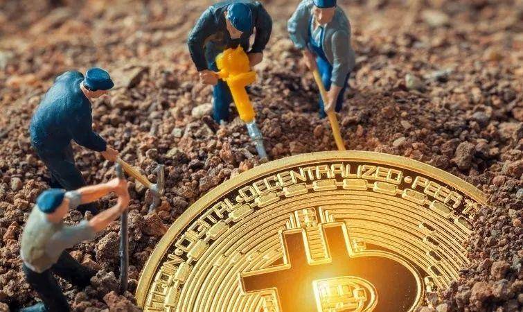 btc矿池(btc交易平台官网)