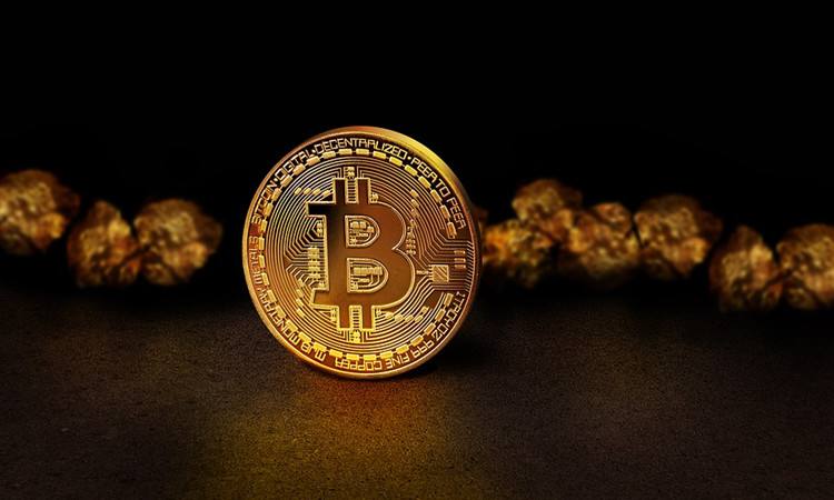 btc100(btc100官网)